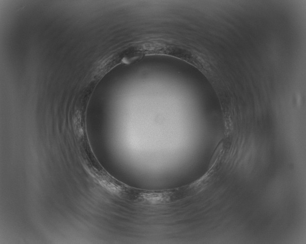 X0000052990187200507081159