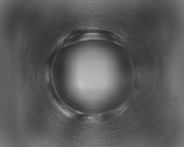 X0000052990188200507081159