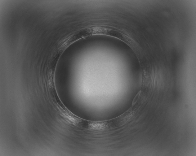 X0000052990189200507081159