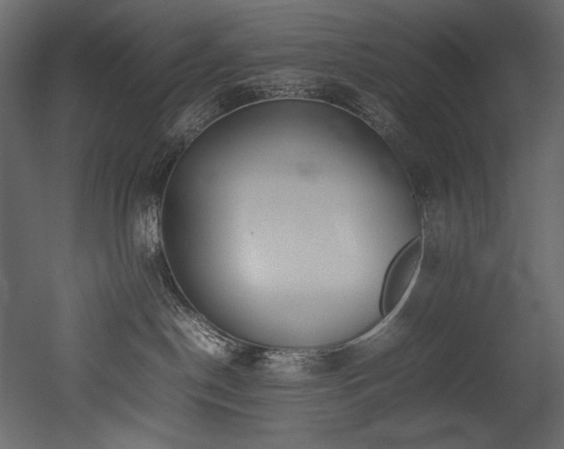 X0000052990190200507081159
