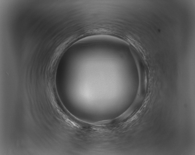 X0000052990193200507081158