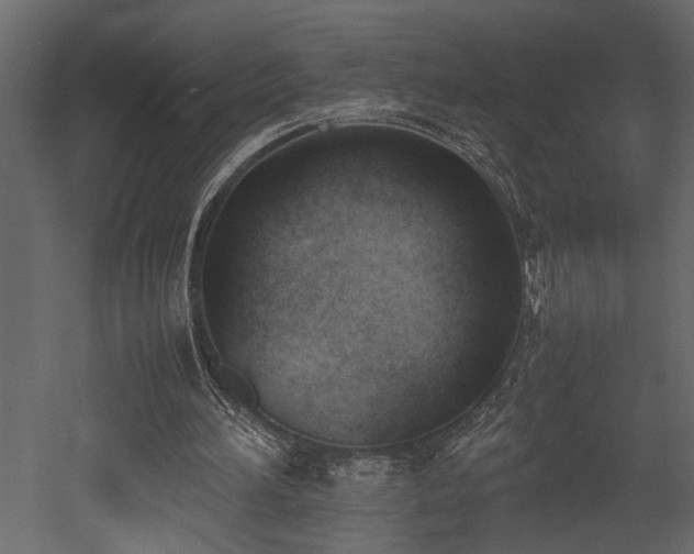X0000052990196200507081158