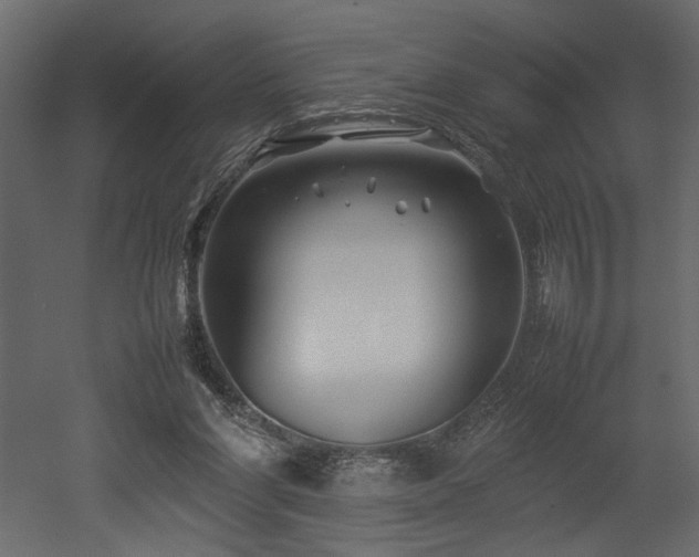 X0000052990206200507081158
