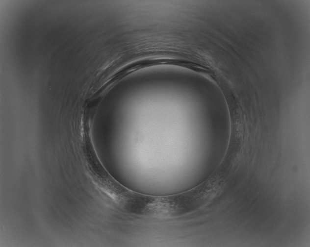 X0000052990211200507081158