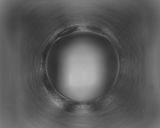 X0000052990212200507081158