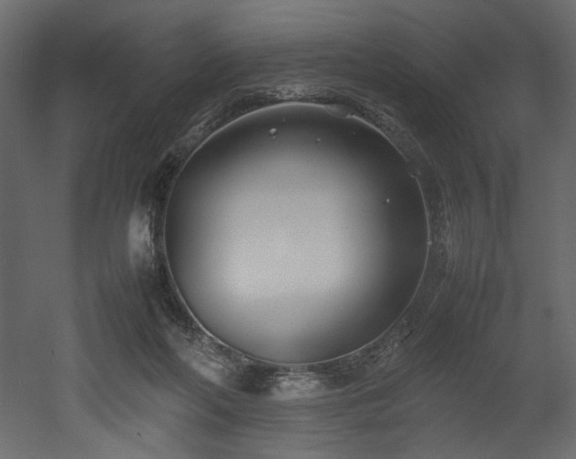 X0000052990214200507081158