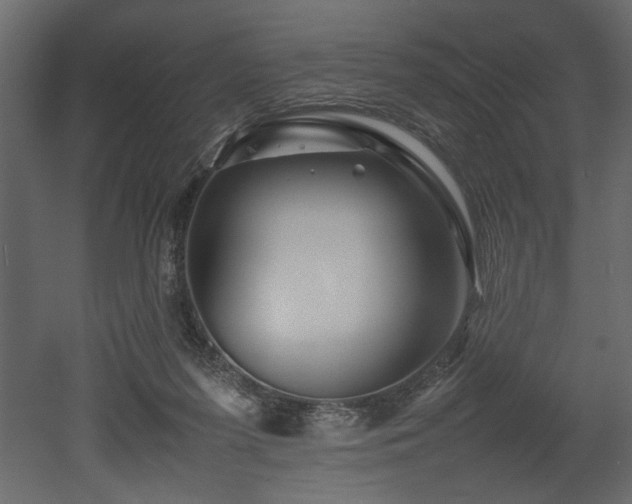 X0000052990215200507081158