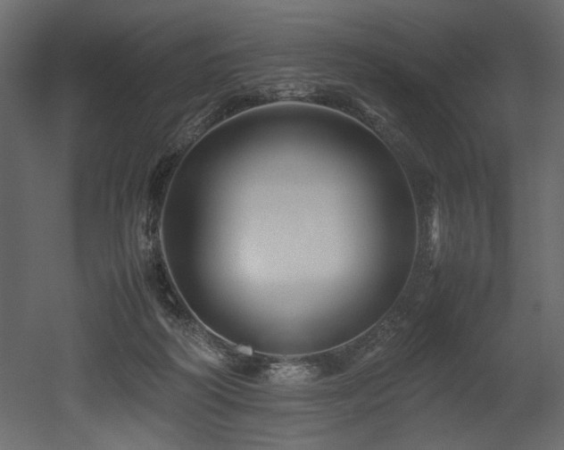 X0000052990218200507081158