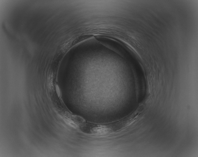 X0000052990219200507081158