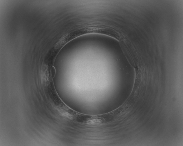 X0000052990220200507081158