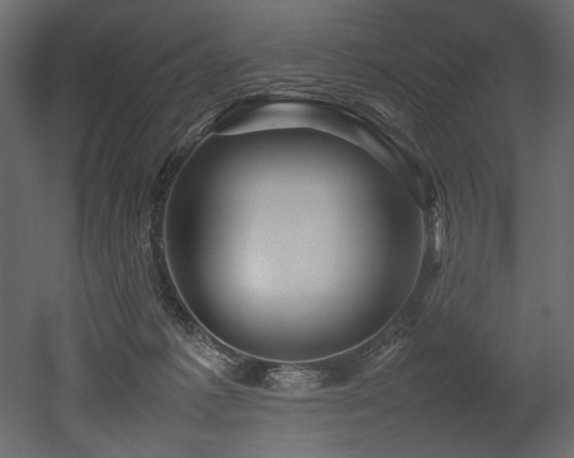 X0000052990221200507081157