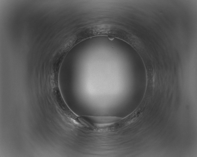 X0000052990224200507081157