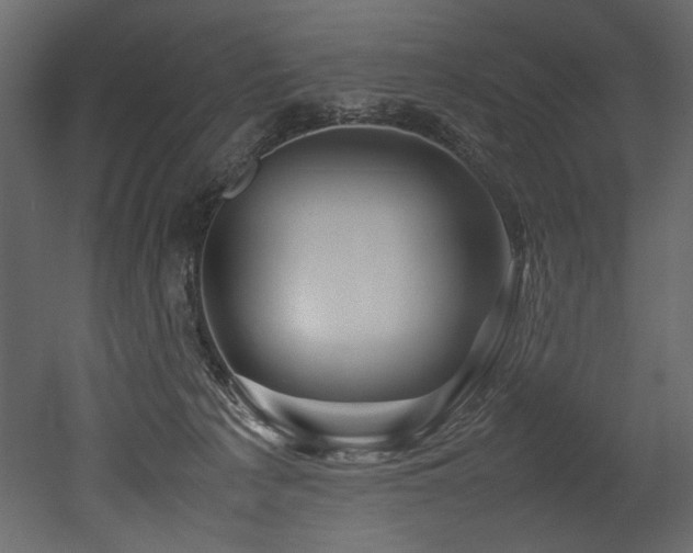 X0000052990225200507081157