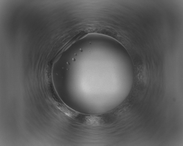X0000052990226200507081157