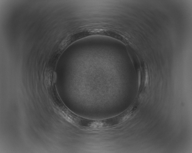 X0000052990227200507081157