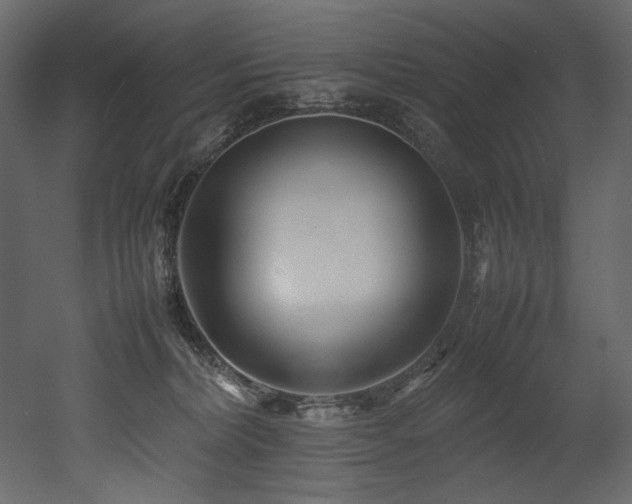 X0000052990228200507081157