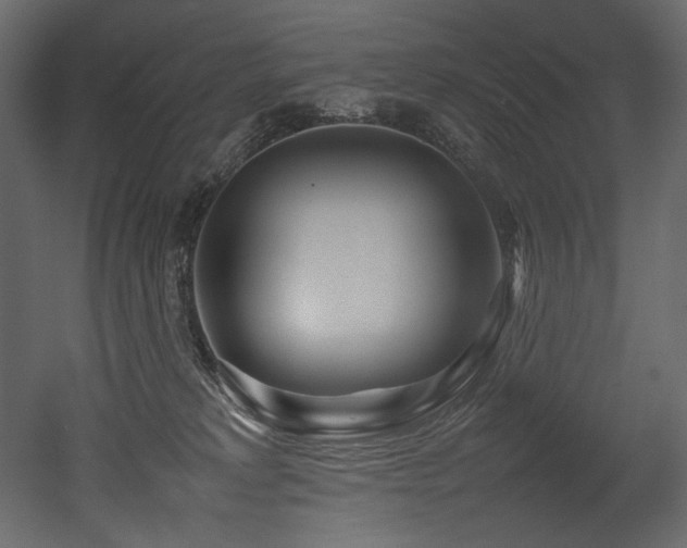 X0000052990229200507081157