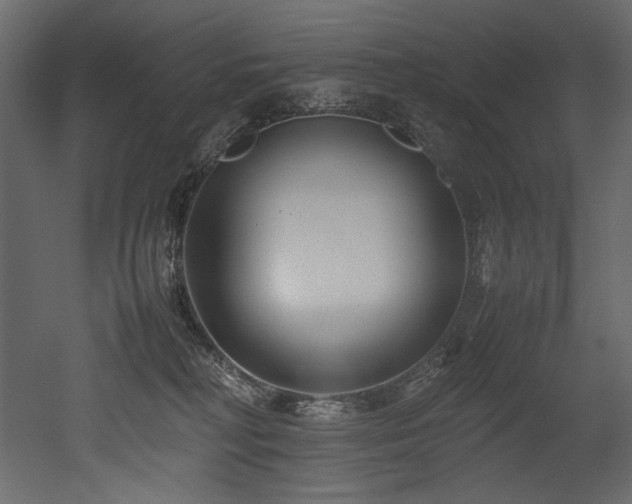 X0000052990230200507081157