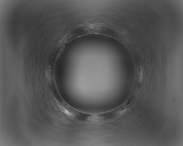 X0000052990231200507081157