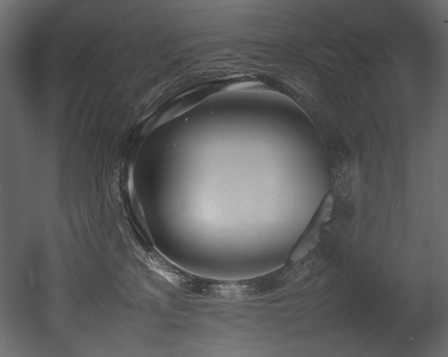 X0000052990233200507081157