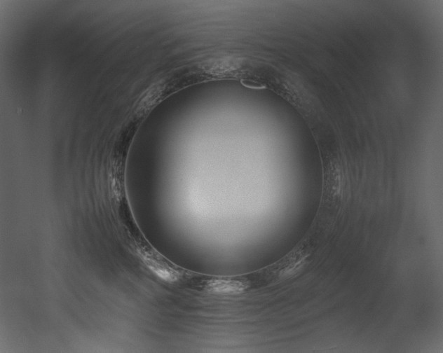 X0000052990234200507081157