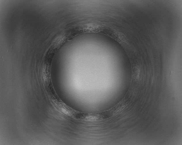 X0000052990236200507081157