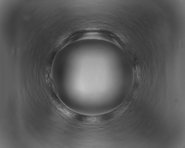 X0000052990237200507081157