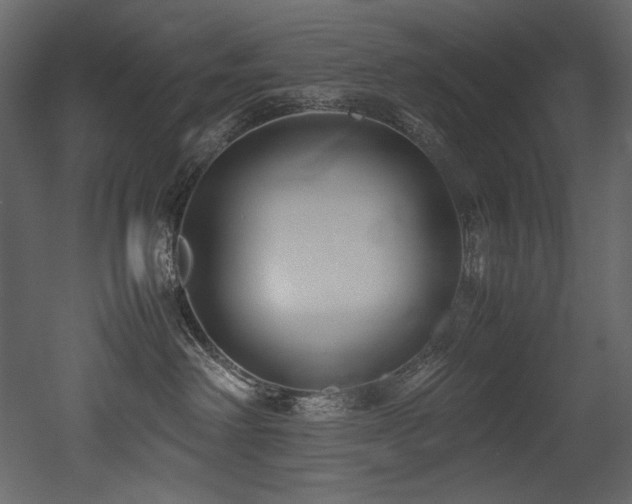 X0000052990238200507081157