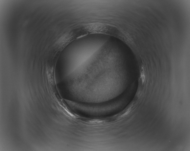 X0000052990239200507081157