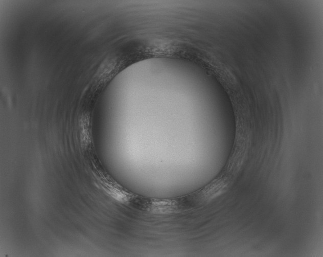 X0000052990240200507081157