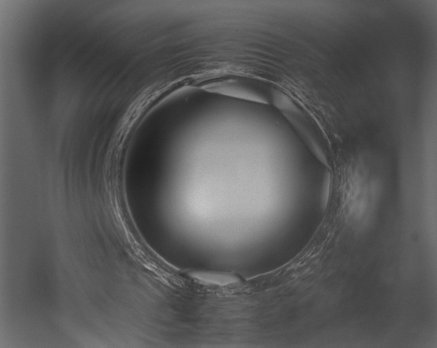 X0000052990241200507081156