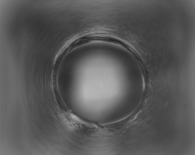 X0000052990244200507081156