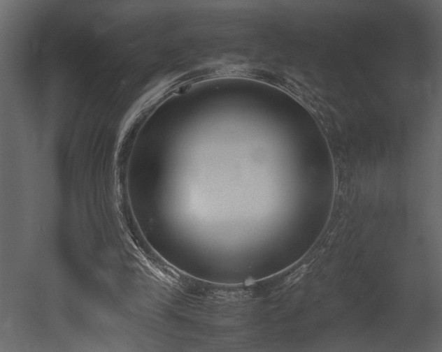 X0000052990245200507081156
