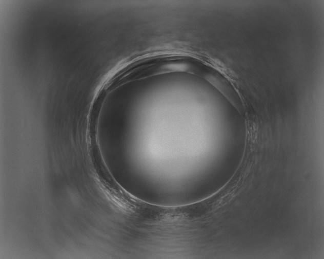 X0000052990248200507081156