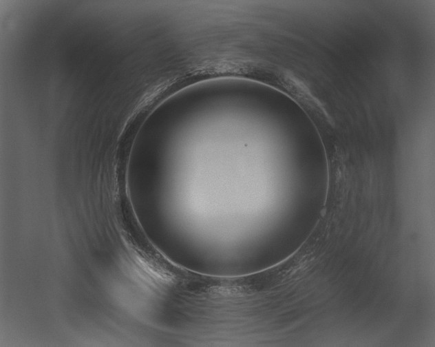 X0000052990250200507081157