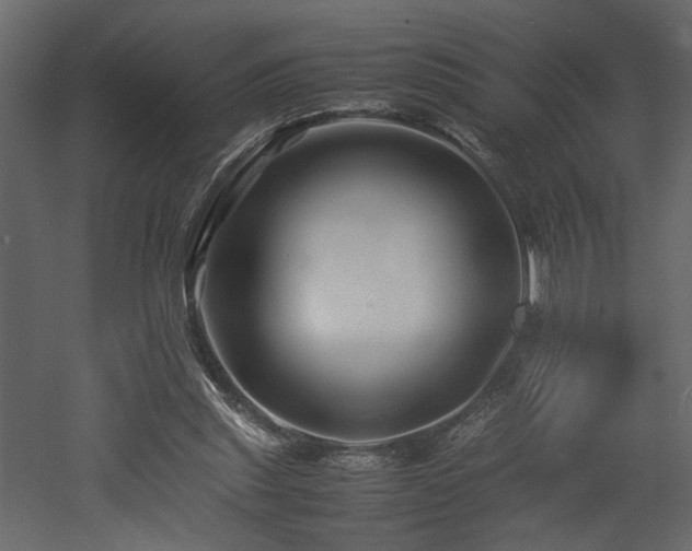 X0000052990253200507081157