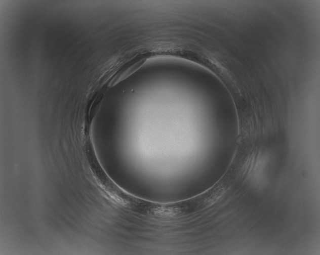 X0000052990261200507081157