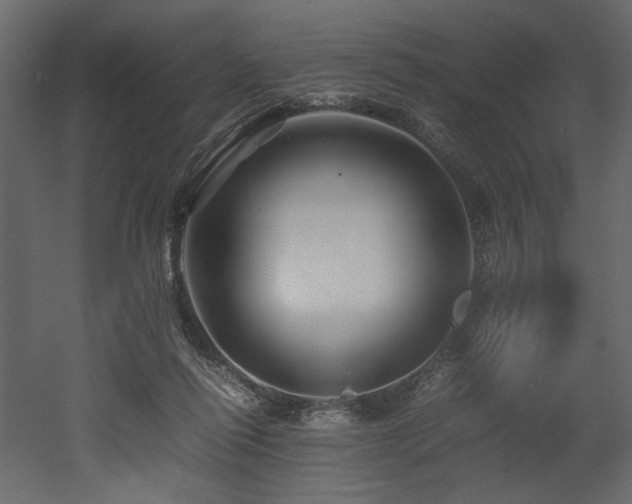X0000052990262200507081157