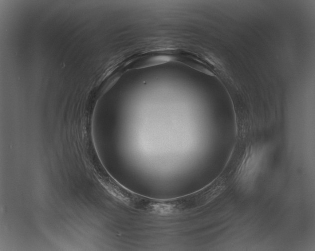 X0000052990265200507081157