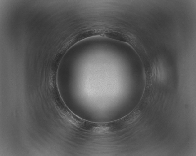 X0000052990266200507081157