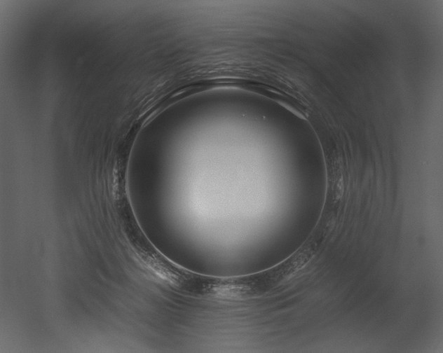 X0000052990268200507081157