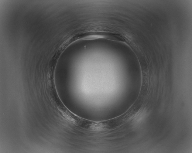 X0000052990269200507081157