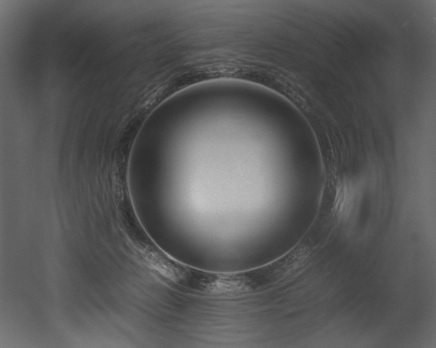X0000052990270200507081157