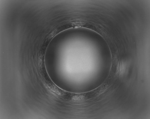 X0000052990271200507081157