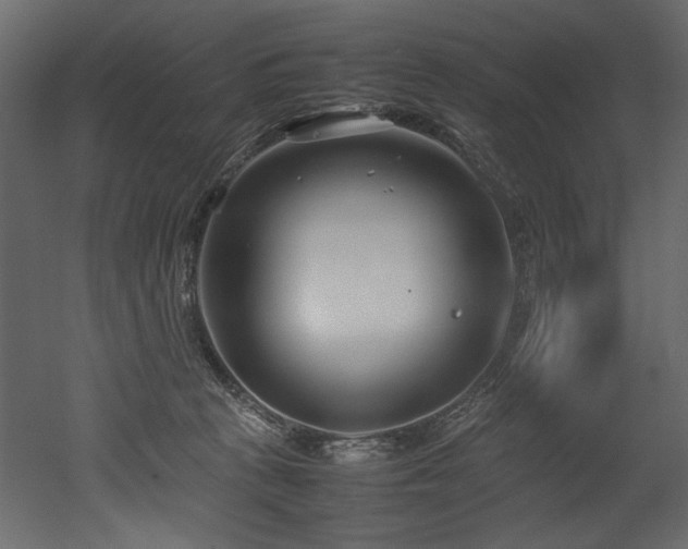 X0000052990273200507081157