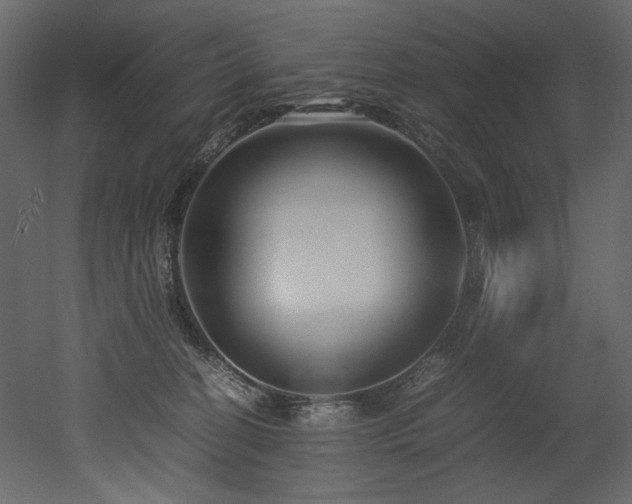 X0000052990274200507081157