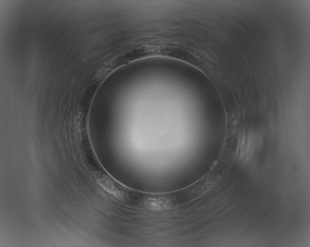 X0000052990275200507081157
