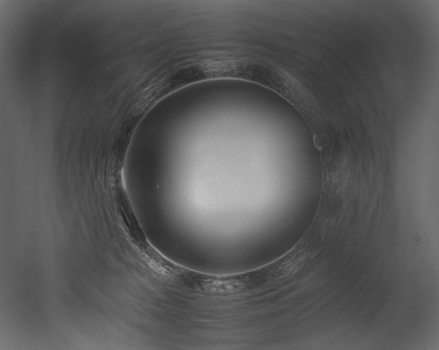 X0000052990277200507081157