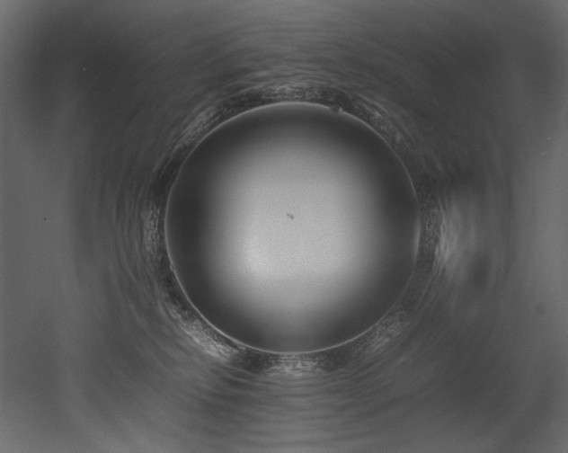 X0000052990278200507081157