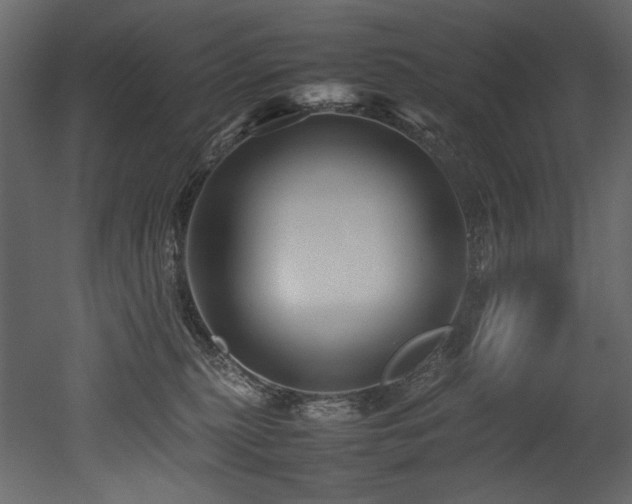 X0000052990279200507081157